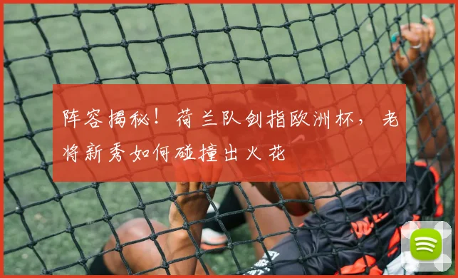 阵容揭秘！荷兰队剑指欧洲杯，老将新秀如何碰撞出火花