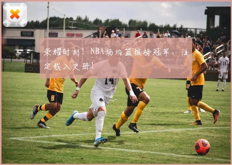 荣耀时刻！NBA场均篮板榜冠军，注定载入史册！