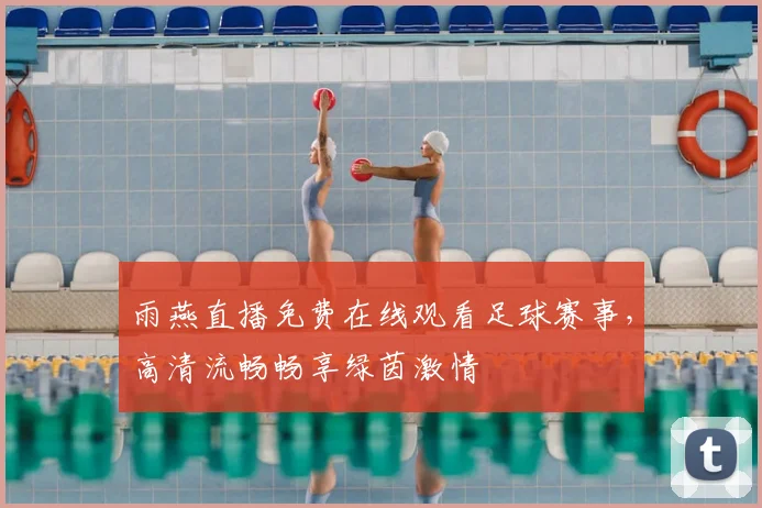雨燕直播免费在线观看足球赛事，高清流畅畅享绿茵激情
