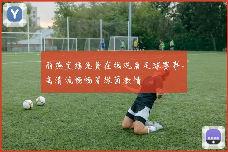 雨燕直播免费在线观看足球赛事,高清流畅畅享绿茵激情