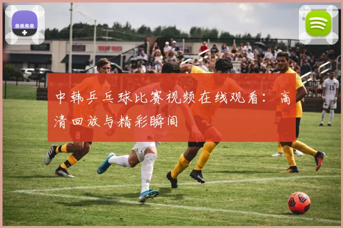 中韩乒乓球比赛视频在线观看：高清回放与精彩瞬间