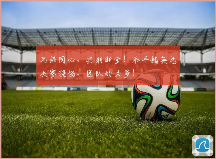 兄弟同心，其利断金！和平精英总决赛现场，团队的力量！